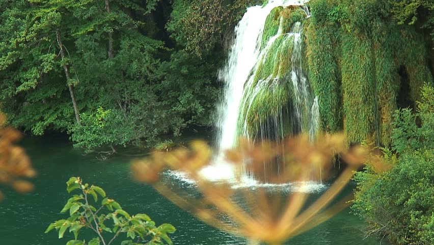 Focus in / out: Dried Flower and Waterfall