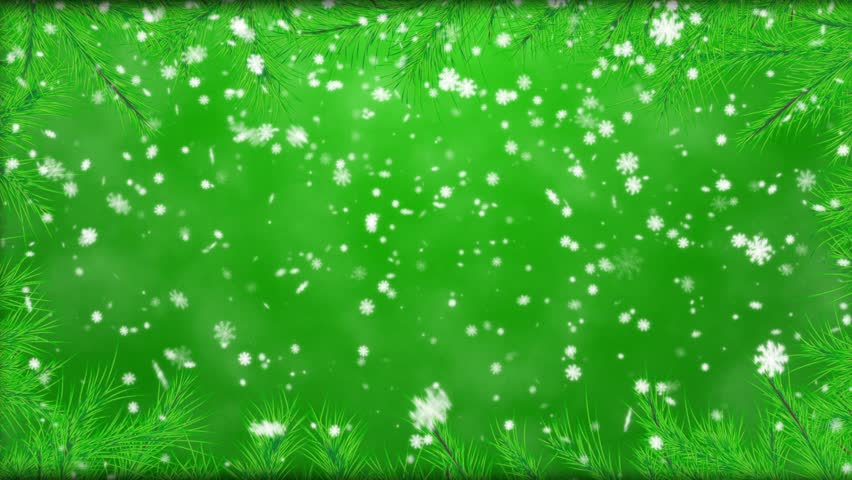 The fur-tree branches, falling snow - the Christmas background 