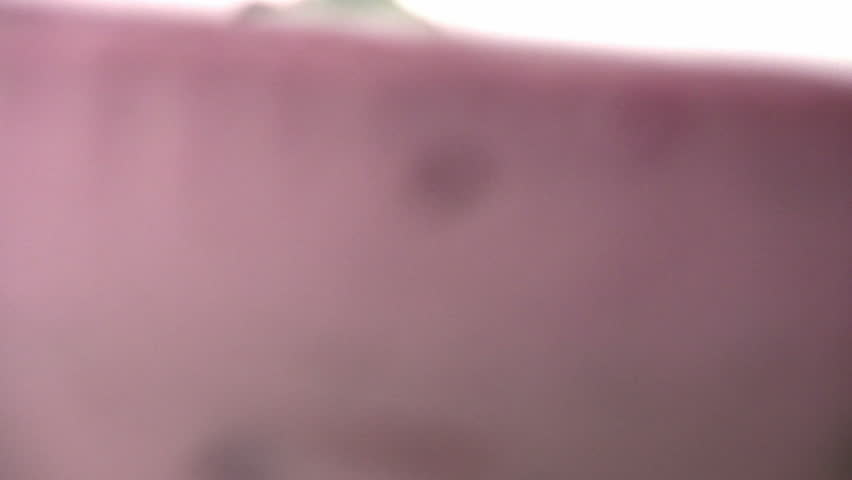 Yummy cake with blackberry