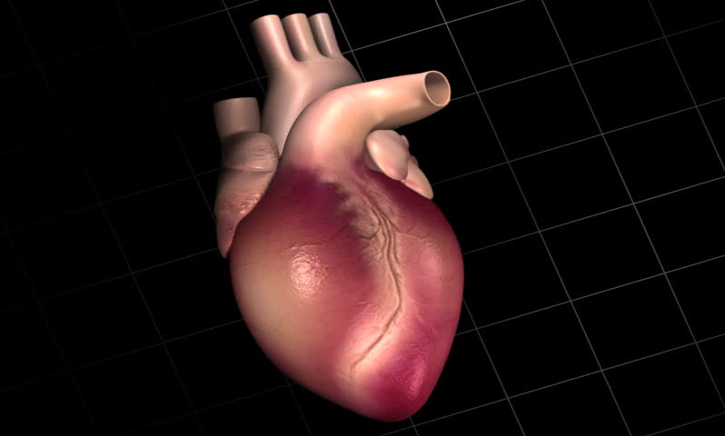 footage of a human heart with eco cardio gram pulse