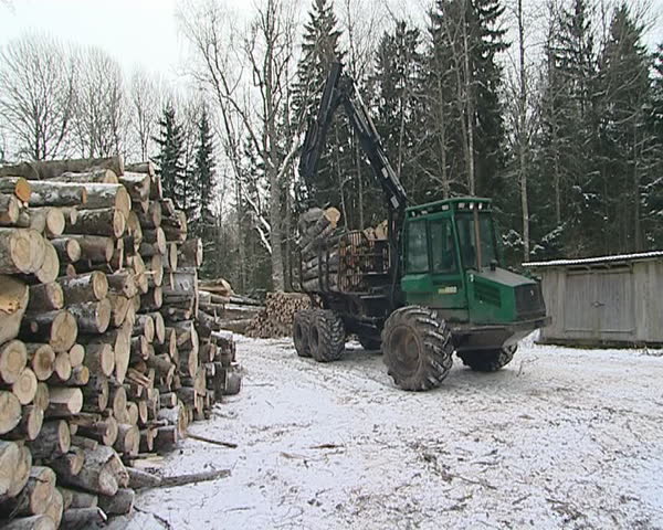 Special machine with crane unload tree trunks from trailer. 