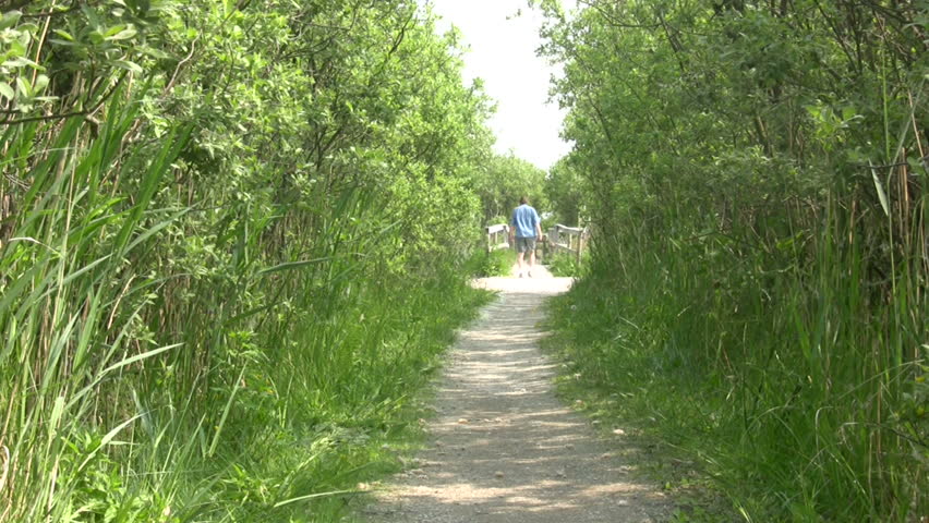 Man walks in a forest preserve 