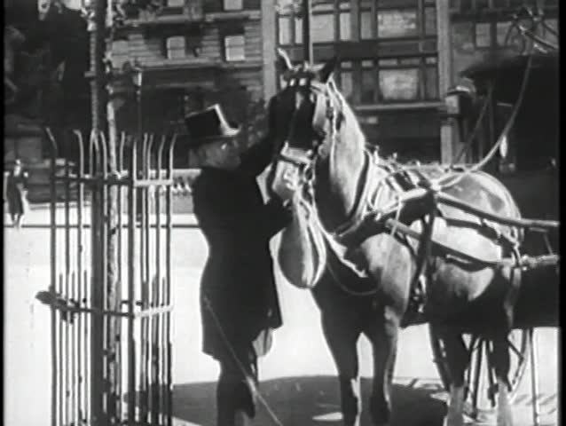 Man attaching feed bag to horse, New York City, 1930s