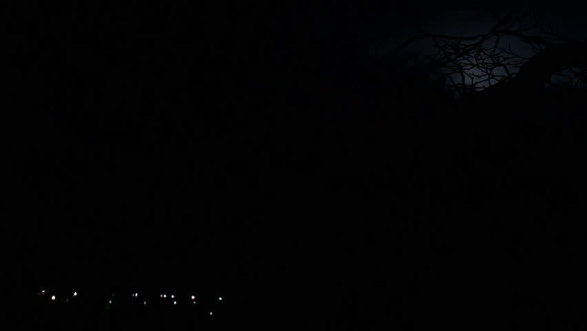 Timelapse thunderstorm with leafless bare tree