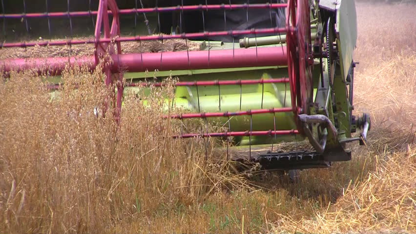 Close-up of combine transferring freshly harvested wheat to tractor-trailer for transport