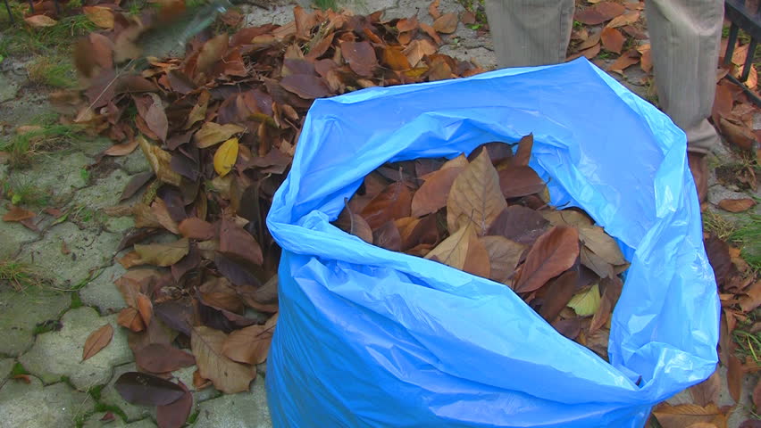 Putting fallen leaves into plastic bag