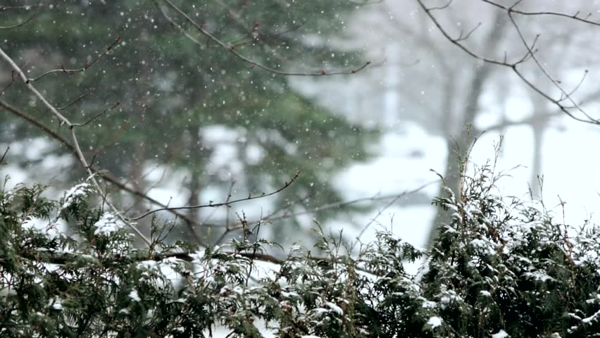 A winter ambiance