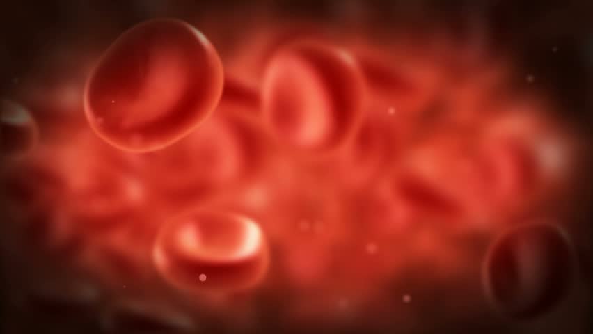 streaming blood cells in vein
