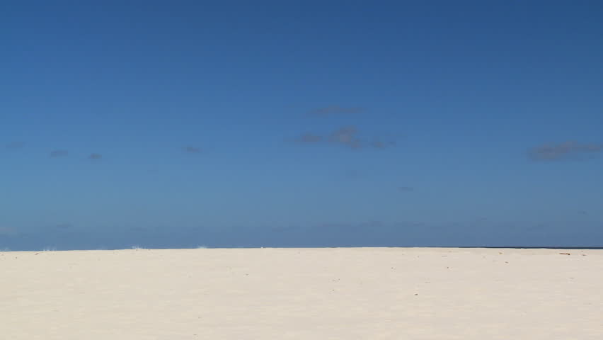 sporty couple jogging on sandy beach