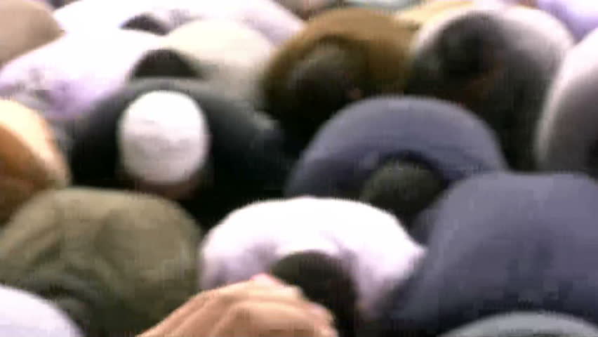 CAIRO, EGYPT - NOV 20: Muslim Brotherhood members pray in Tahrir Square on November 20, 2011 in Cairo, Egypt.
