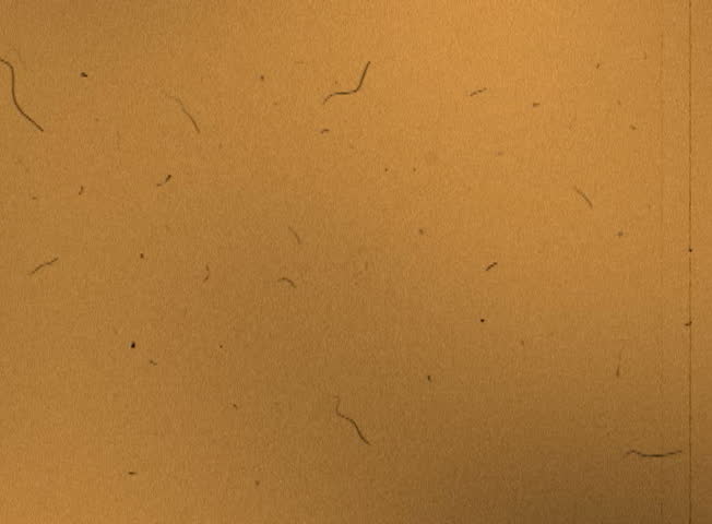 Scratched dusty film