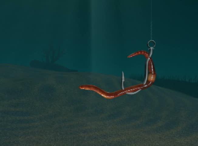 Animation of a trout checking out a worm on a hook