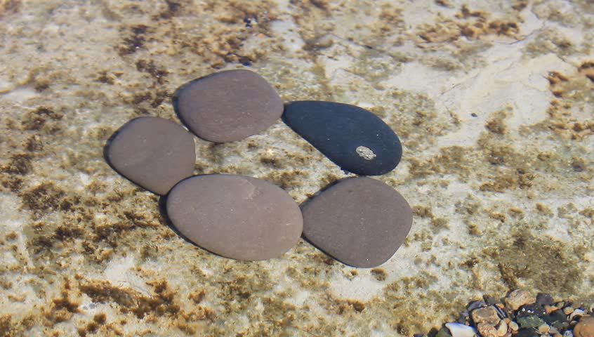 Pebble in the Sea Water
