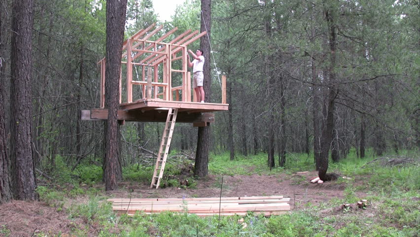 Father framing a tree house in the forest.  Ambient audio.  HD 1080i