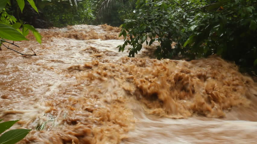 Mud and water pouring down a jungle watercourse after very heavy rain. On the Pacific coast of Ecuador.