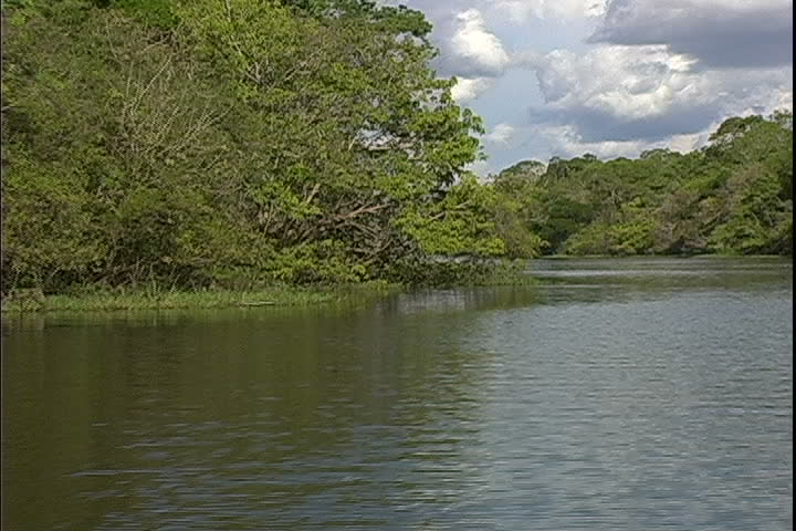 Jungle River Bend ws pov