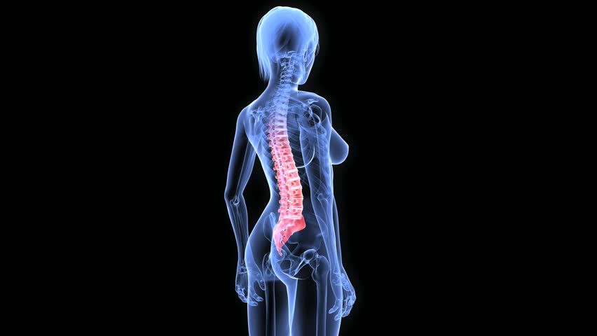 painful spine