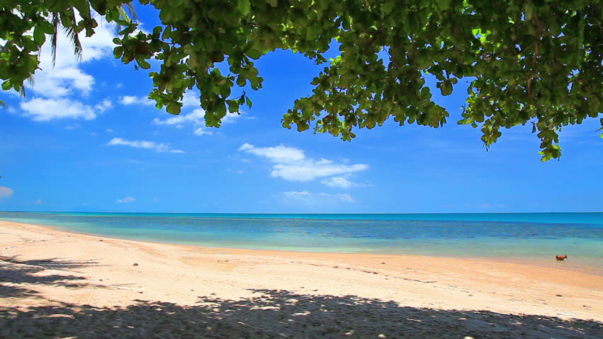 beach and sea