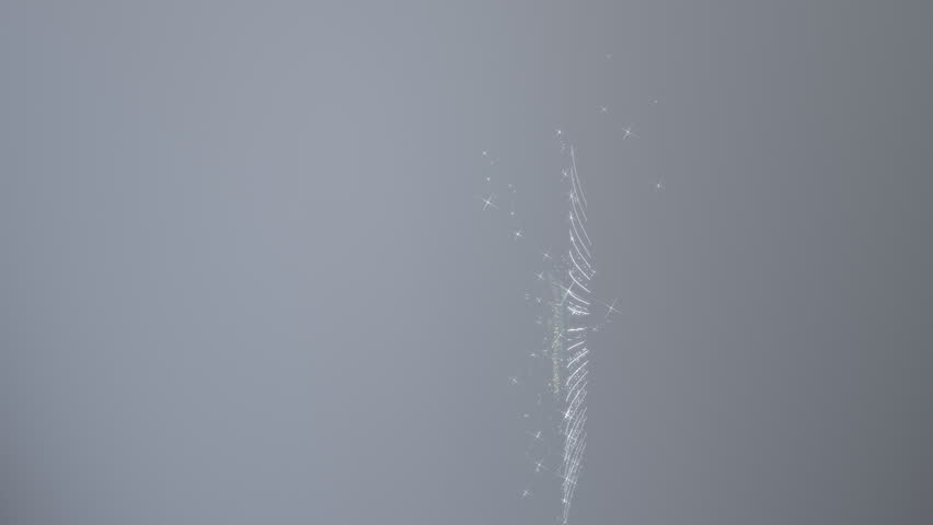 Animated Background - High Definition.  Dynamic camera movement.  