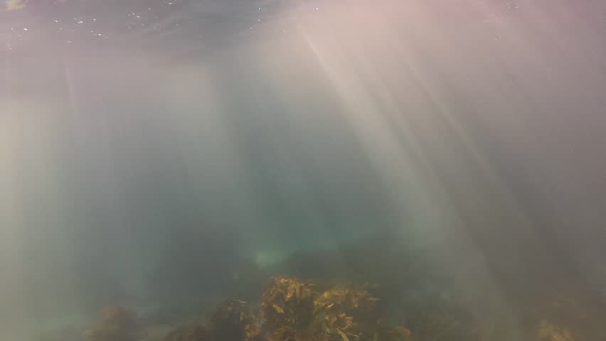 Strong rays of sunlight shining through the water.