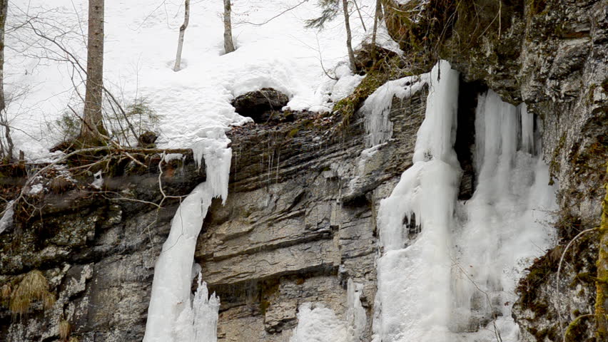 winter landscape