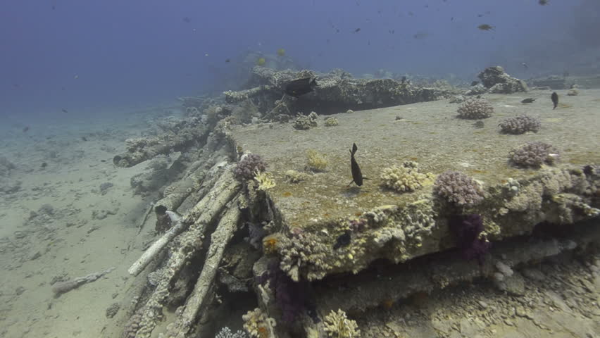 High angle view of Wreckage from a shipwreck left on the ocean floor. Yolanda Shipwreck, Red Sea, Egypt.