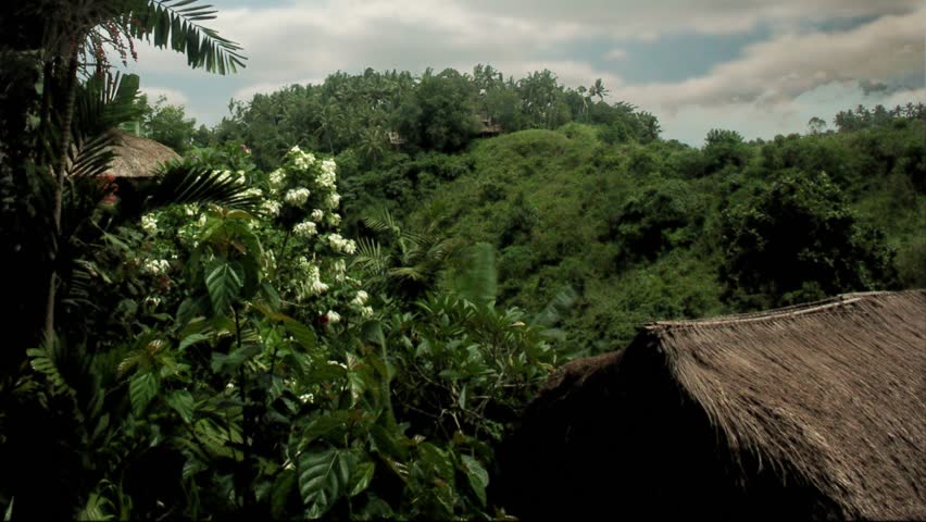 Timelapse tilt up of villa overlooking valley in Ubud, Bali.