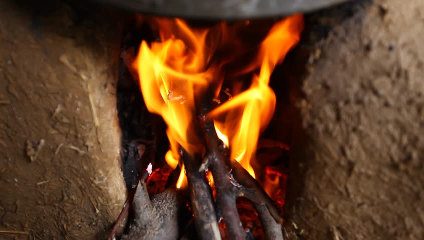 cooked meal in nature