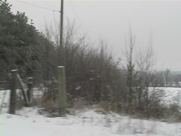 Side window view of woods and farm land during drive through a remote area