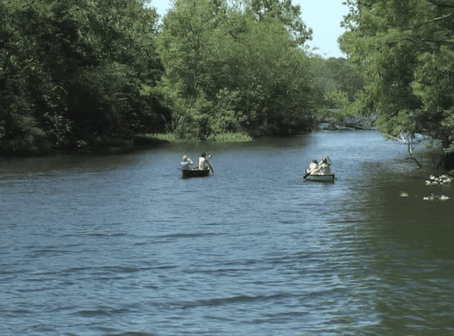 Canoeists paddle up the Suwannee River.