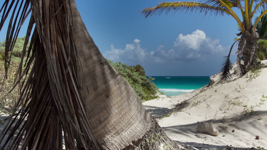 motion timelapse of a perfect paradise beach with a lone palm tree, mexican caribbean coast (using dynamic perception motion dolly)