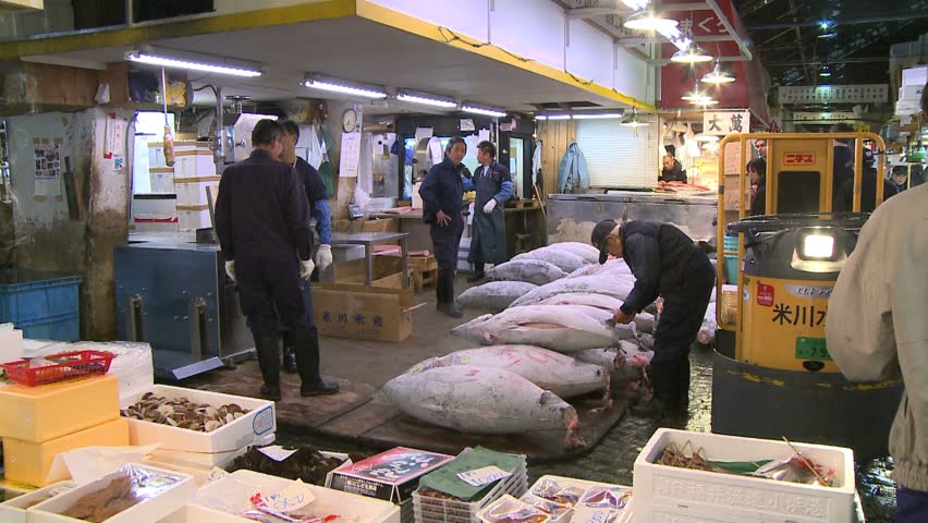 TOKYO, JAPAN - CIRCA 2008: stack of tuna in Tsukiji wholesale market