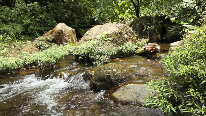 Boulder filled gully in the Choco Biogeographical Region in north-west Ecuador.