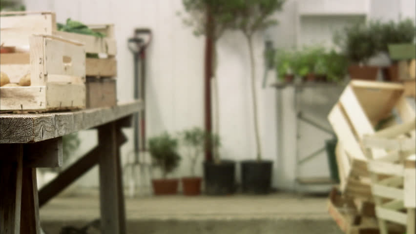 Farmer with ecological vegetables