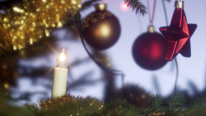 A Christmas tree, close-up.
