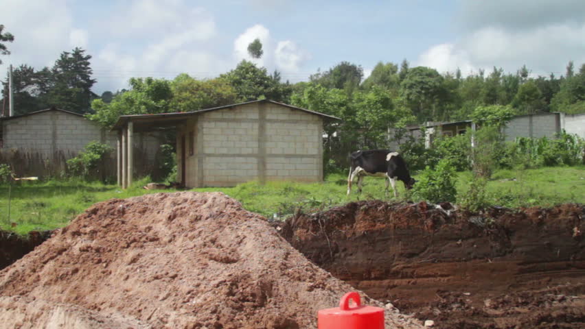 guatemala farm