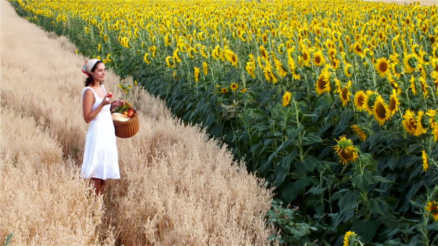 peasant woman walking with a basket of sunflower field