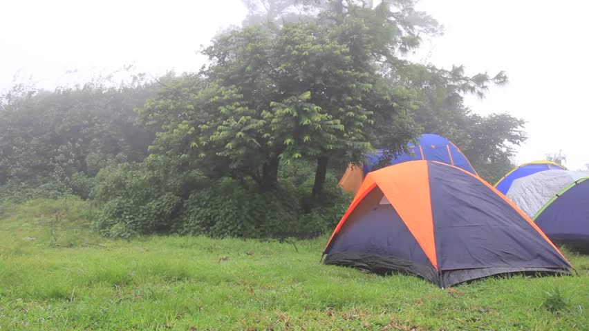 Camping in the rainforest.