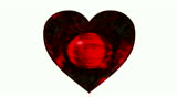 Lovely ruby heart with white background rotating.