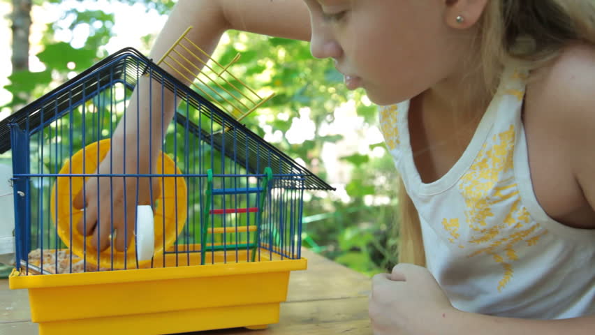 Angry hamster biting a little girl