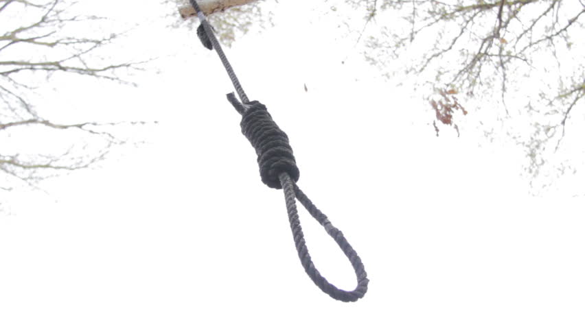 Rope on the branch of tree