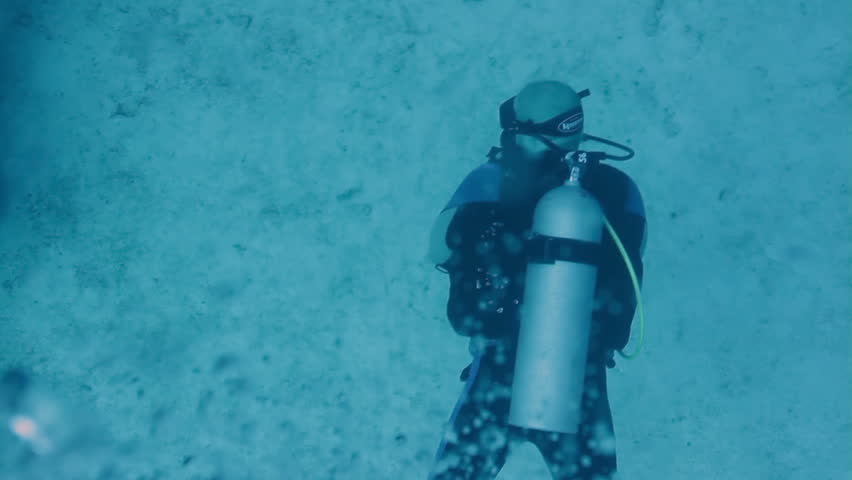 scuba diving off cozumel island, mexico, one of the world's favourite dive destinations