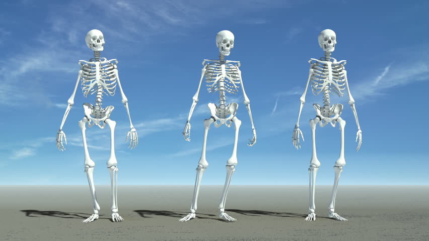 Three skeletons waiting for something, anything.