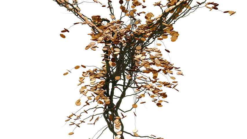 A fast growing tree sprouts leaves made of gold coins.