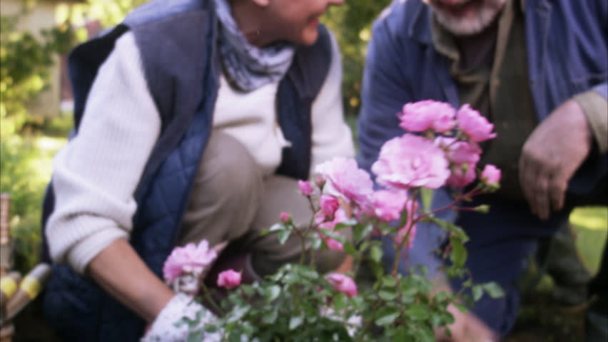An old couple in the garden