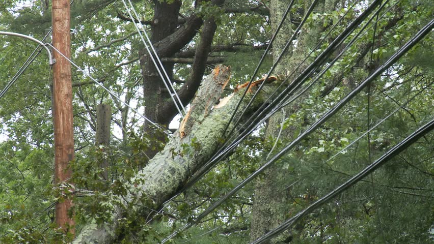 Storm damage -- large broken tree branches hanging on power lines 