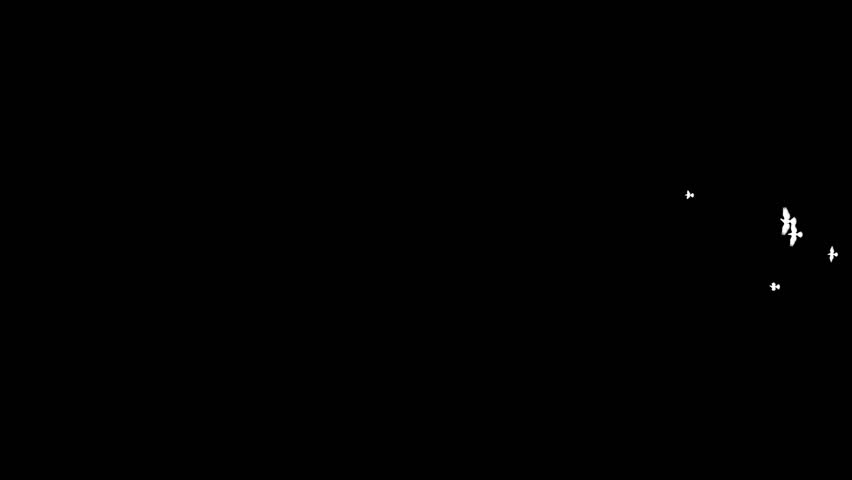 animated transition flying flock of pigeons with isolate alpha