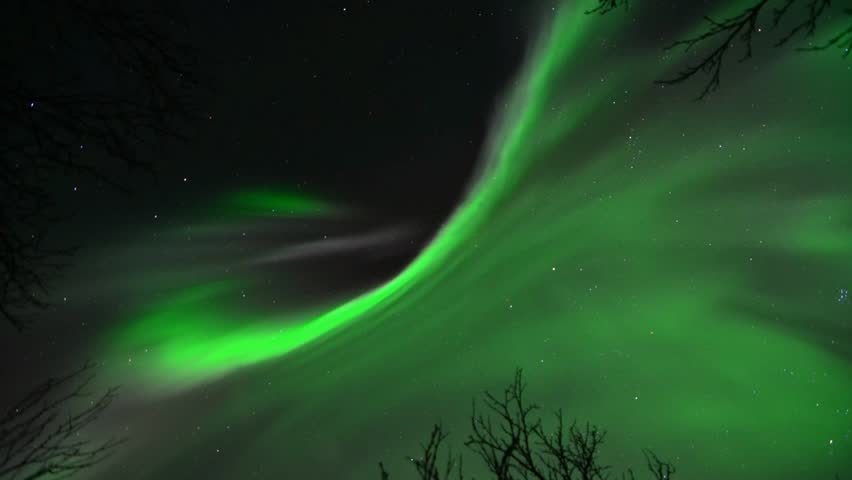 Aurora borealis over a Scandinavian forest