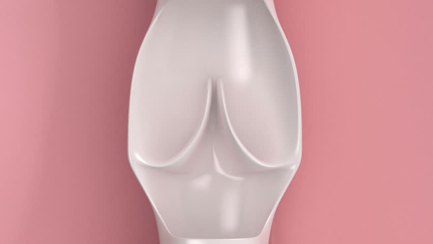 Vein valve with blood flow