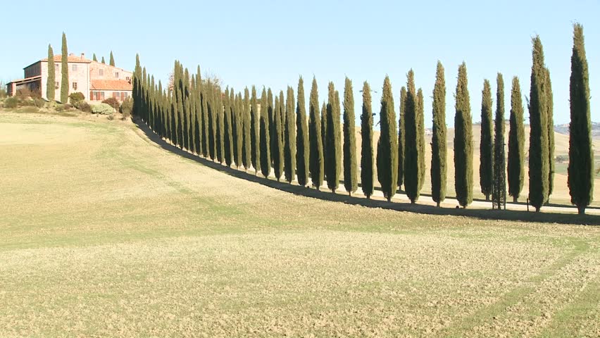 TUSCANY, ITALY-CIRCA 2011-A wide shot of a farm villa with long rows of trees in Tuscany, Italy.